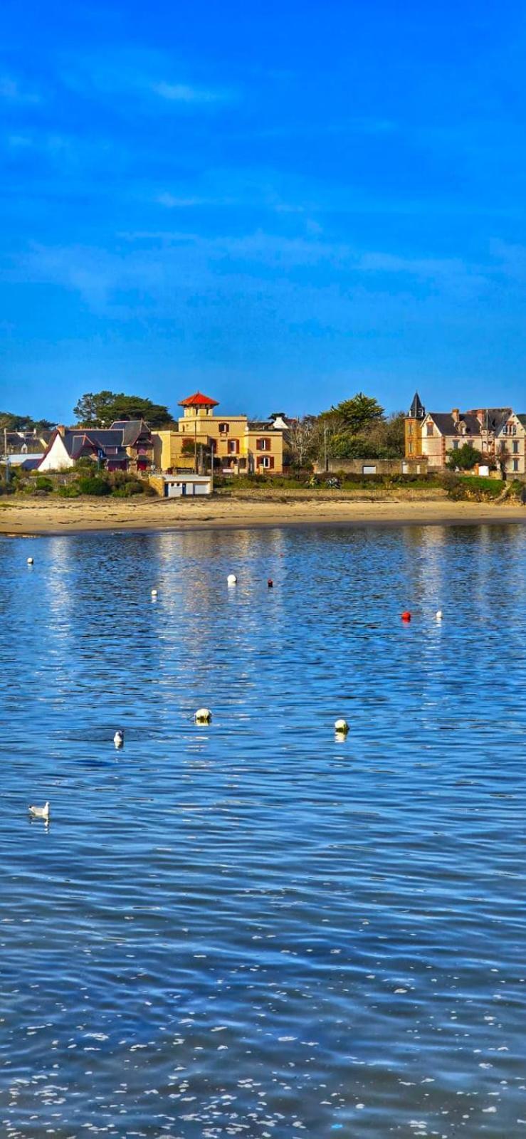 Cocon Neuf - 6 A 8 Pers 3 Chb Proche Plage, Port, Centre Ville 圣皮埃尔·奎贝罗 外观 照片
