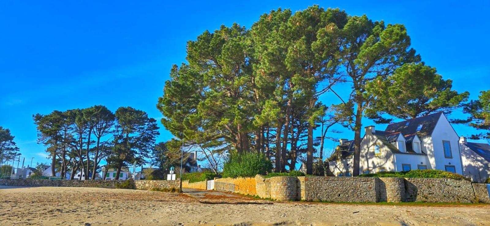 Cocon Neuf - 6 A 8 Pers 3 Chb Proche Plage, Port, Centre Ville 圣皮埃尔·奎贝罗 外观 照片